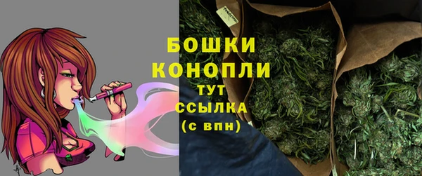 ПСИЛОЦИБИНОВЫЕ ГРИБЫ Наволоки