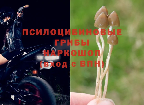 ПСИЛОЦИБИНОВЫЕ ГРИБЫ Наволоки
