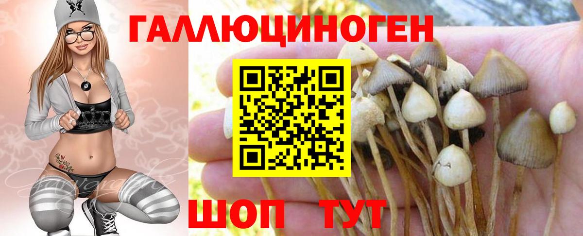 Тула  Псилоцибиновые грибы Psilocybine cubensis  Галлюциногенные грибы Magic Shrooms  Вход с VPN 